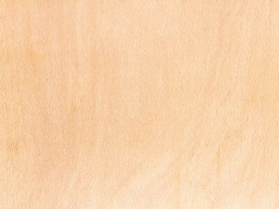 beechwood